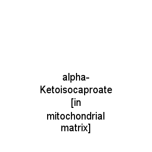 alpha-Ketoisocaproate [in mitochondrial matrix]